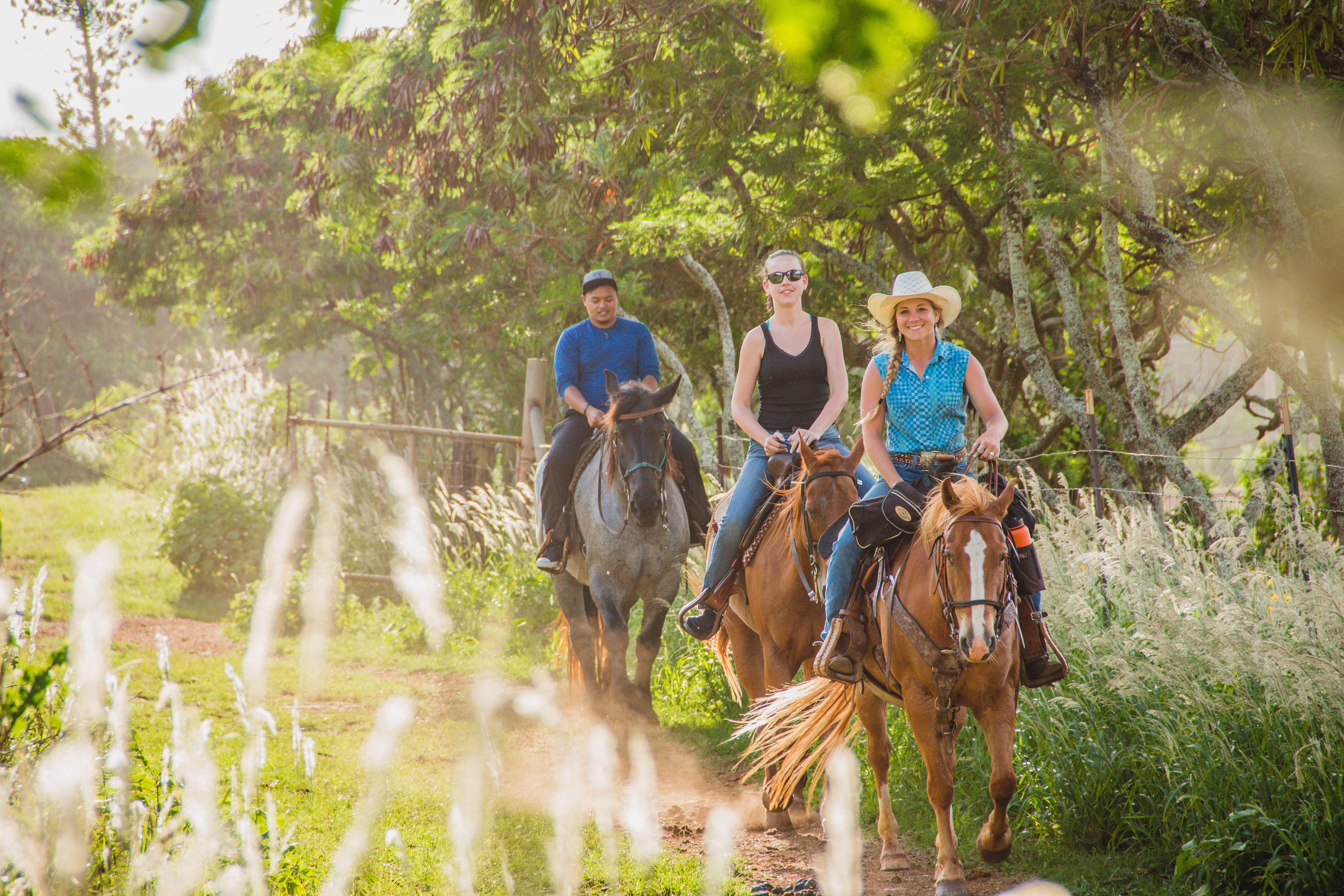 Product Scenic Horseback Ride