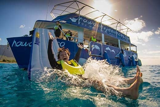 Product Dolphin Snorkel With Ocean Activities