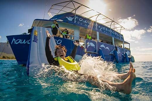 Product Afternoon Dolphin Watch &amp; Reef Snorkel With Ocean Activities