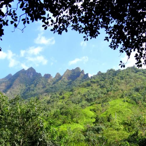 Product Jurassic Valley Zipline