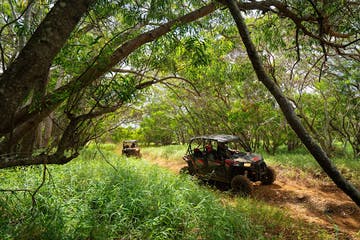 Product Kapalua ATV Adventure