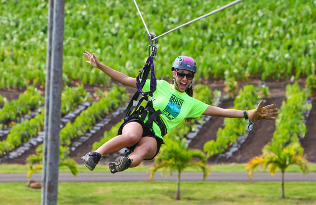 Product 5-Line Zipline 