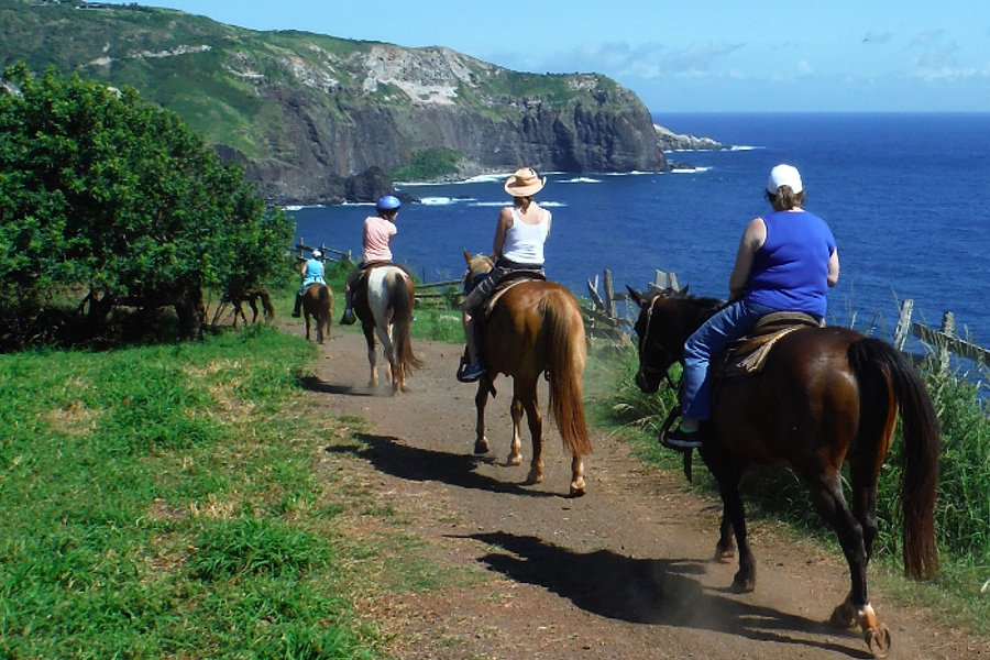 Product Morning Horseback Trail Ride