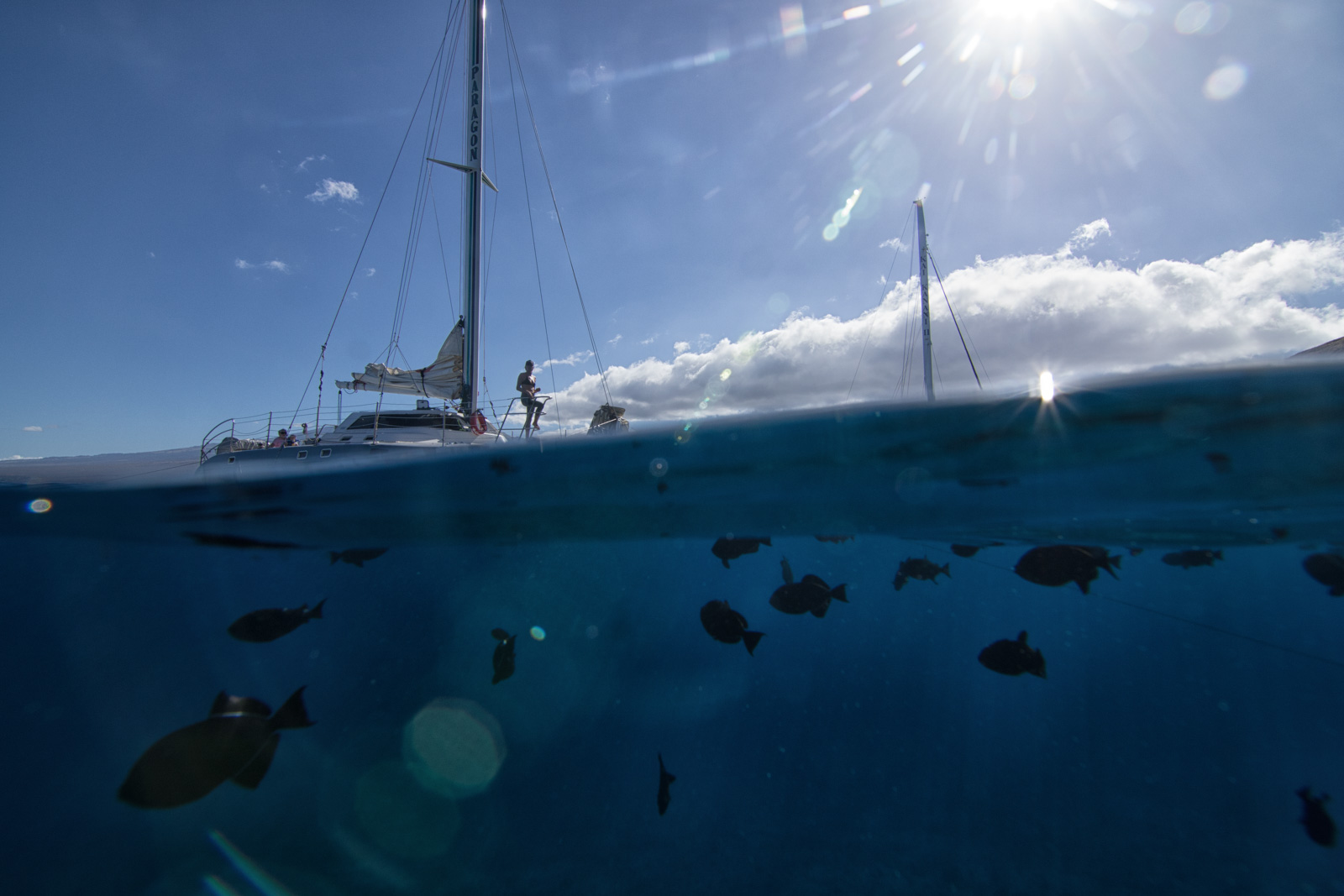 Product Molokini Snorkeling Tour &amp; Performance Sail